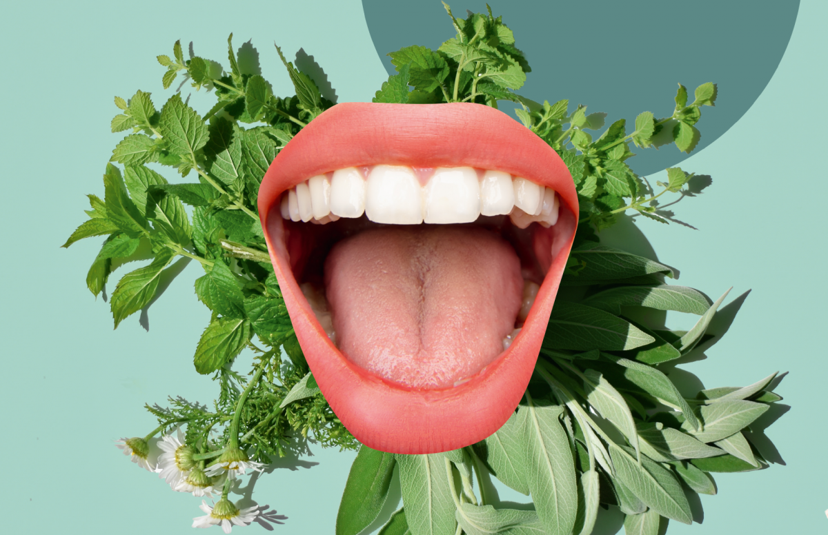 Gegen Zahnschmerzen ist manches Kraut gewachsen
